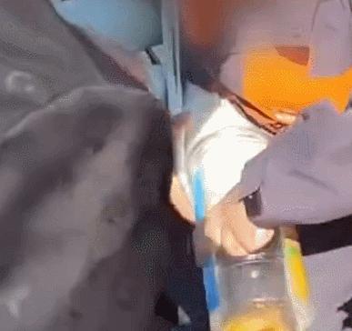 猩猩扔水瓶砸伤游客账号,动物园称猩猩砸伤游客系正当防卫