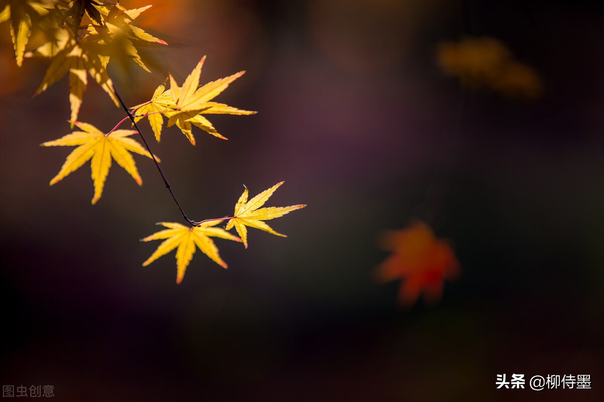 拍照不好看只要学会这些小技巧,摄影大师教你拍照技巧