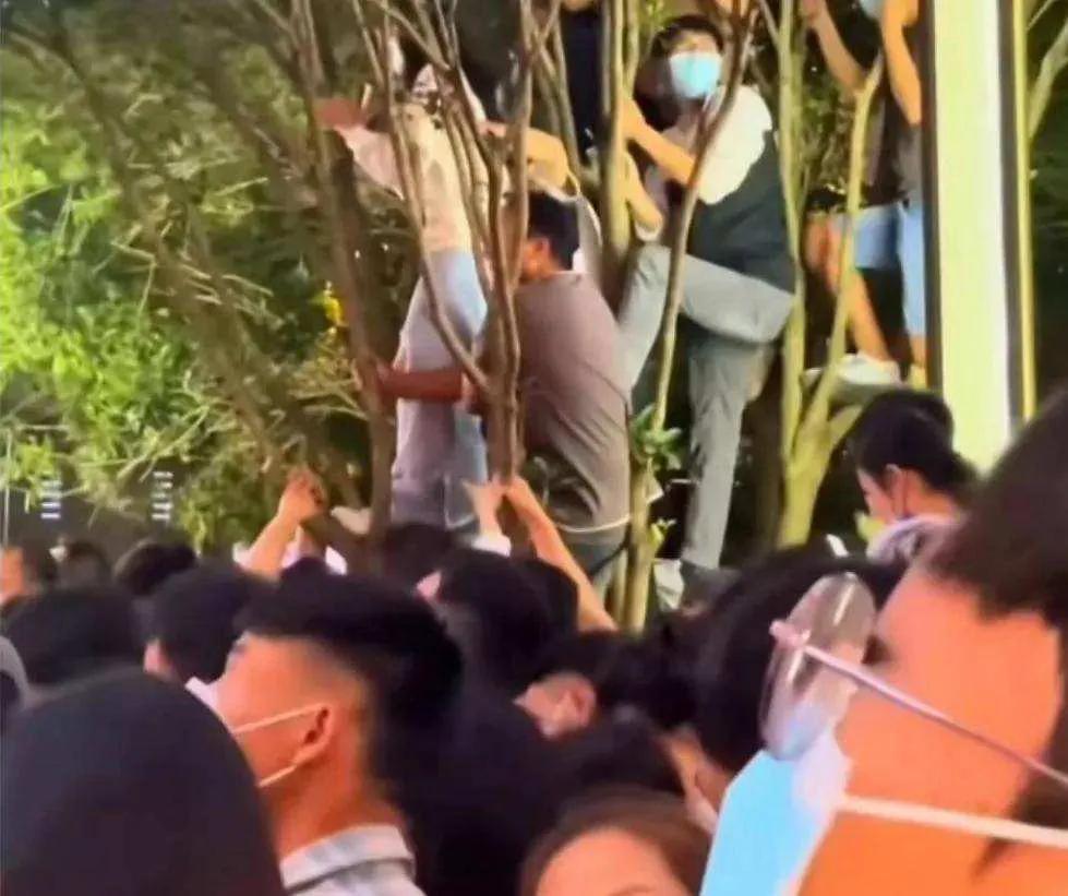 许巍来昆明吗,许巍来了原版