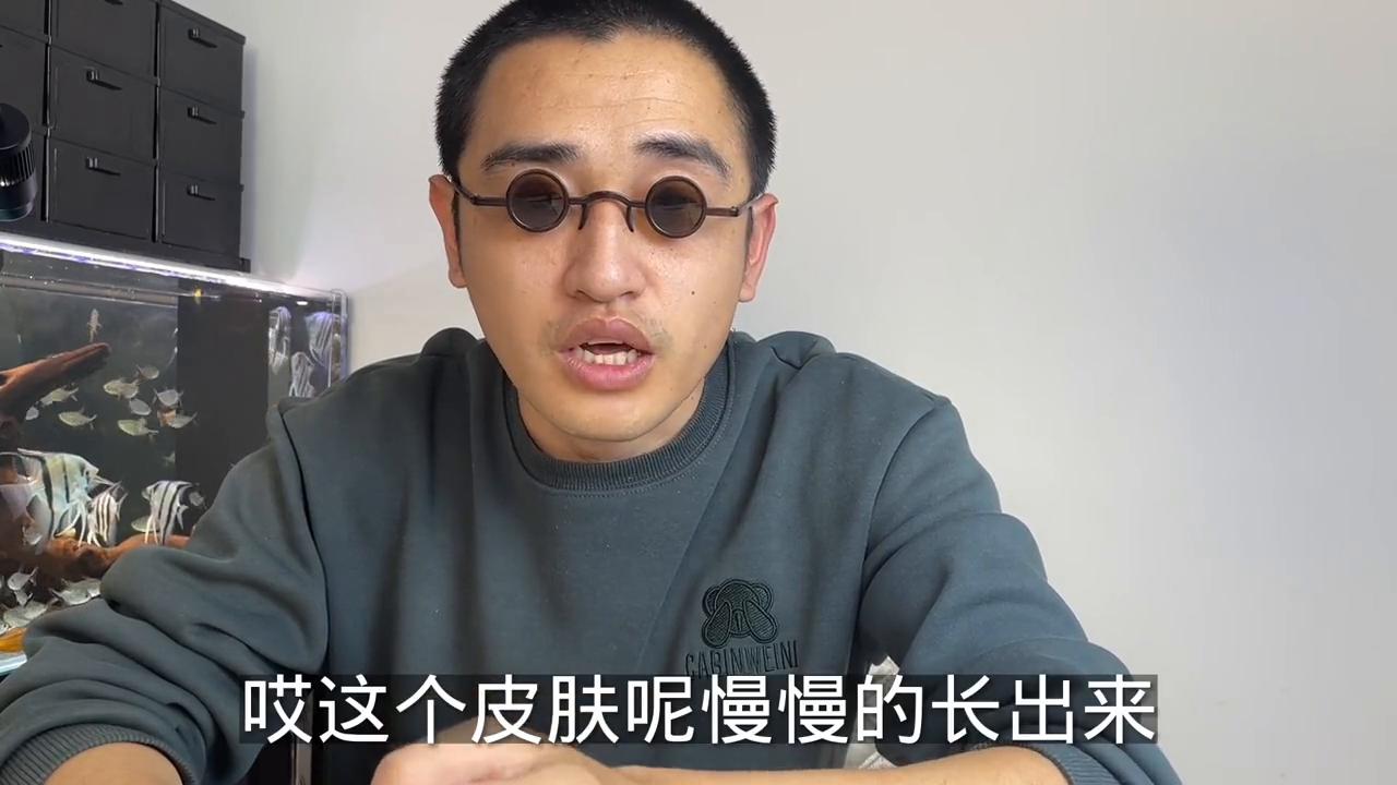 观赏鱼的头洞病可以利用甲硝唑来治疗