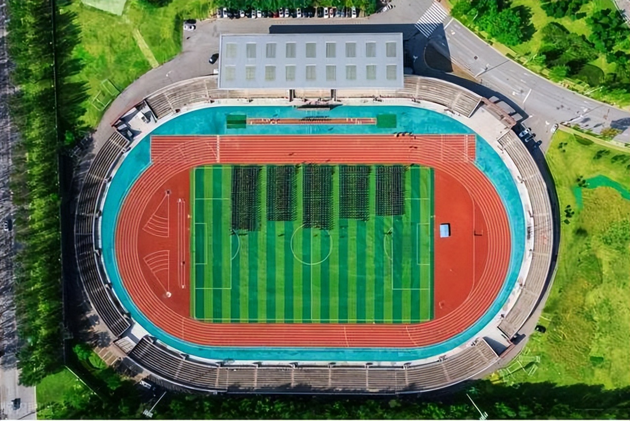 南平人造草坪分类,人造草坪种类图解大全