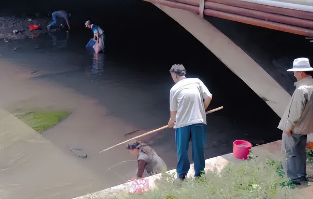 正在逐渐消失的6种河鲜,正在逐渐消失的五种河鲜