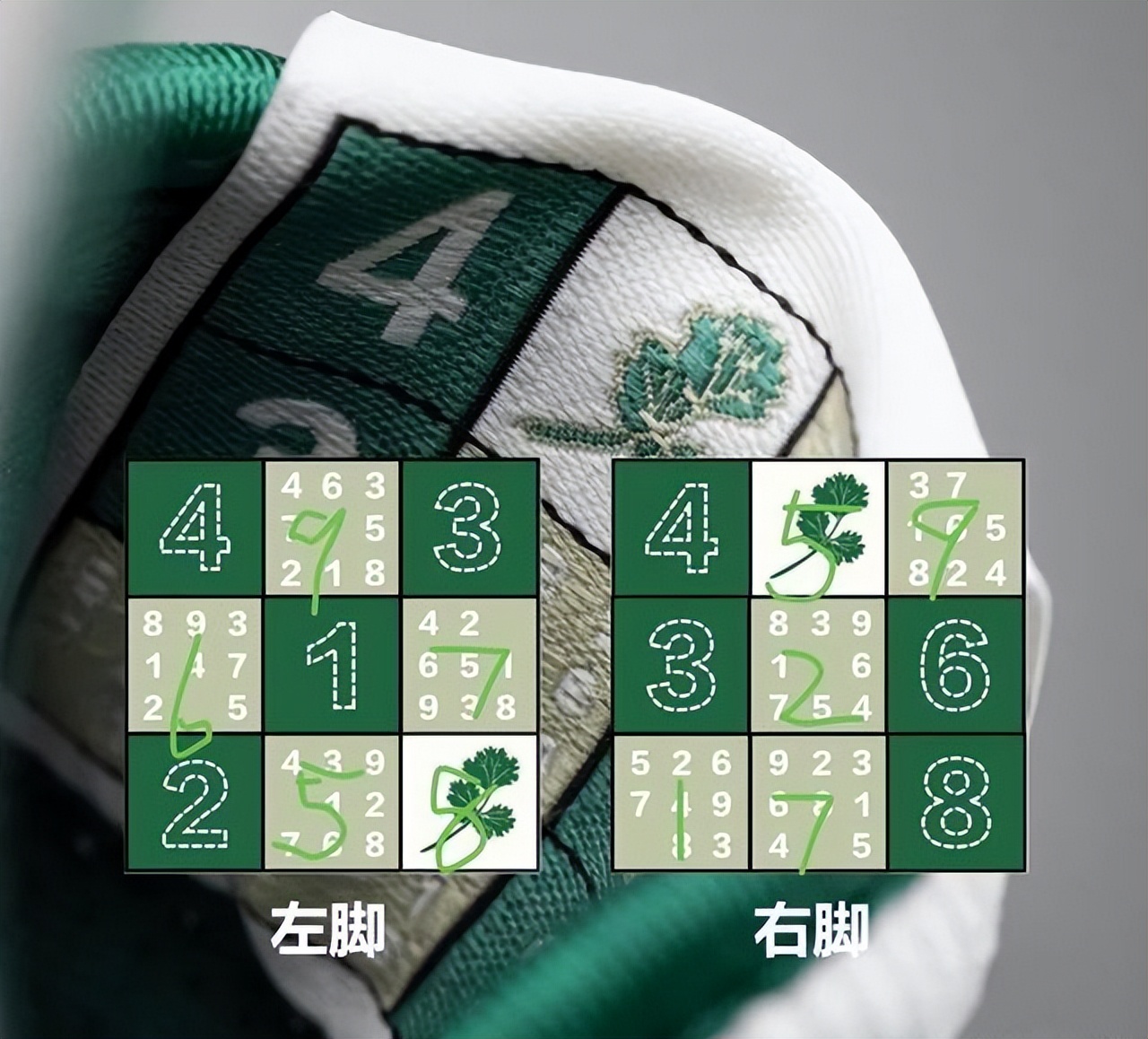 安踏跟香菜联名,安踏香菜联名