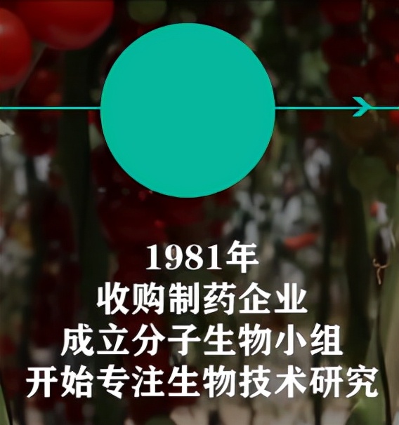 种子危机孟山都,种子巨头孟山都