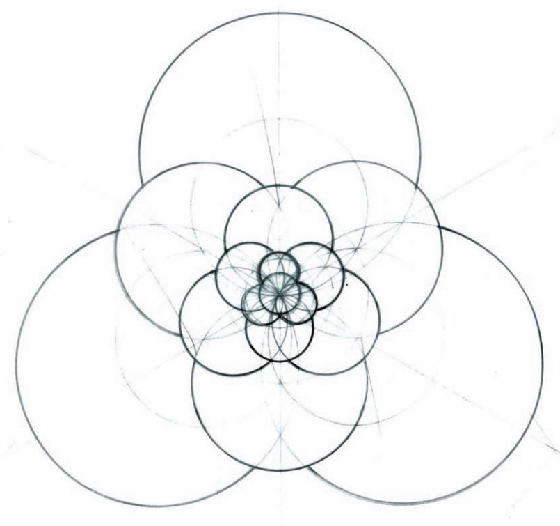 几何之花2：圆的内部分裂