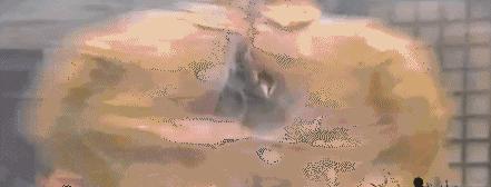 包子雷抗日神剧怎么过审的,包子雷抗日神剧叫啥名