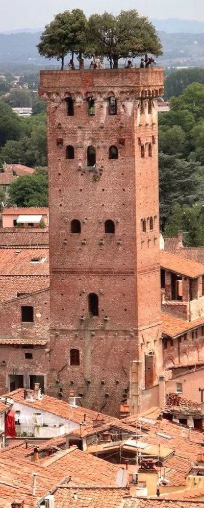 稀世景观,稀世景观震撼又壮观