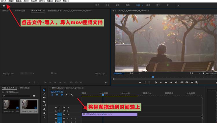 怎么把mov视频转换成mp4格式？两个简单方法分享