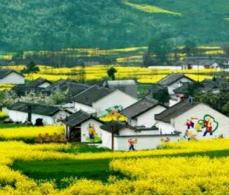 农村50岁存多少钱算有钱人,农村有八十万存款算不算有钱人