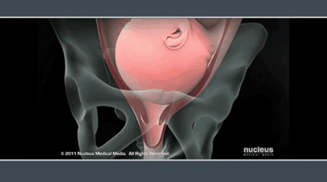 日本仿真机器人索菲亚,日本造出机器人老婆