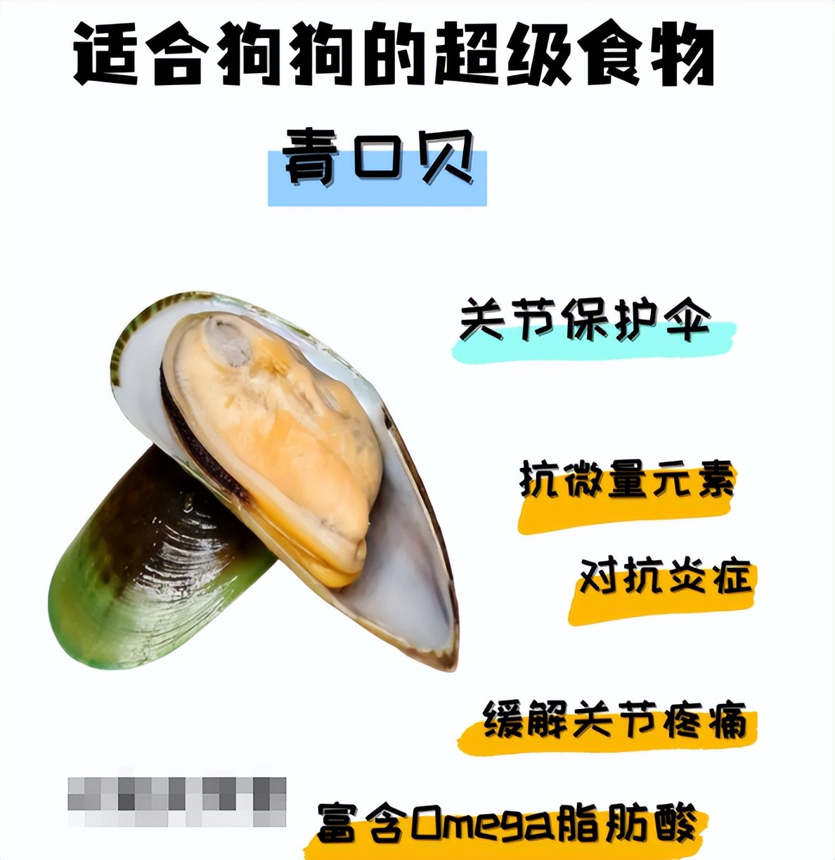 新鲜的青口贝能给狗狗吃么,青口贝喂狗怎么储存