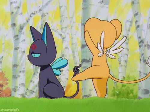 大脸猫的日记本,大脸猫的日记大全