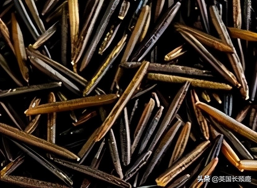 各种米傻傻分不清楚？英国大米种类科普：买米全攻略