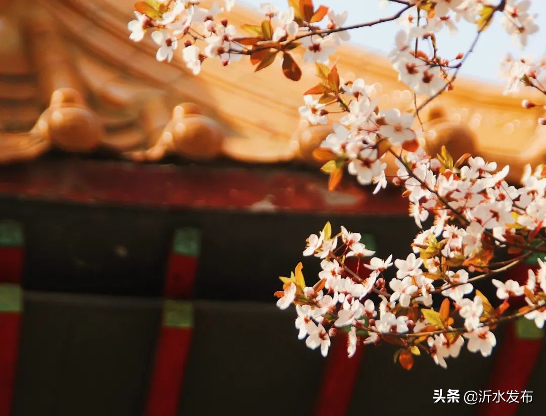 中国传统十二个月的别称,十二个月份的古代雅称