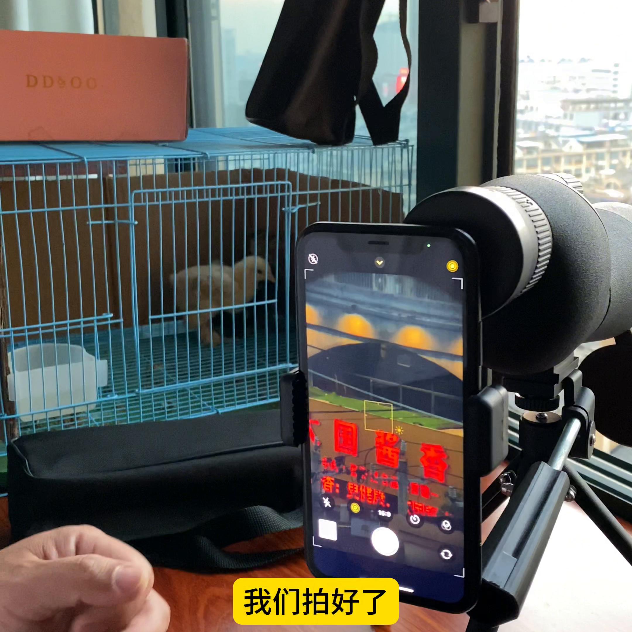 75倍观鸟镜什么效果,20-60倍观鸟镜