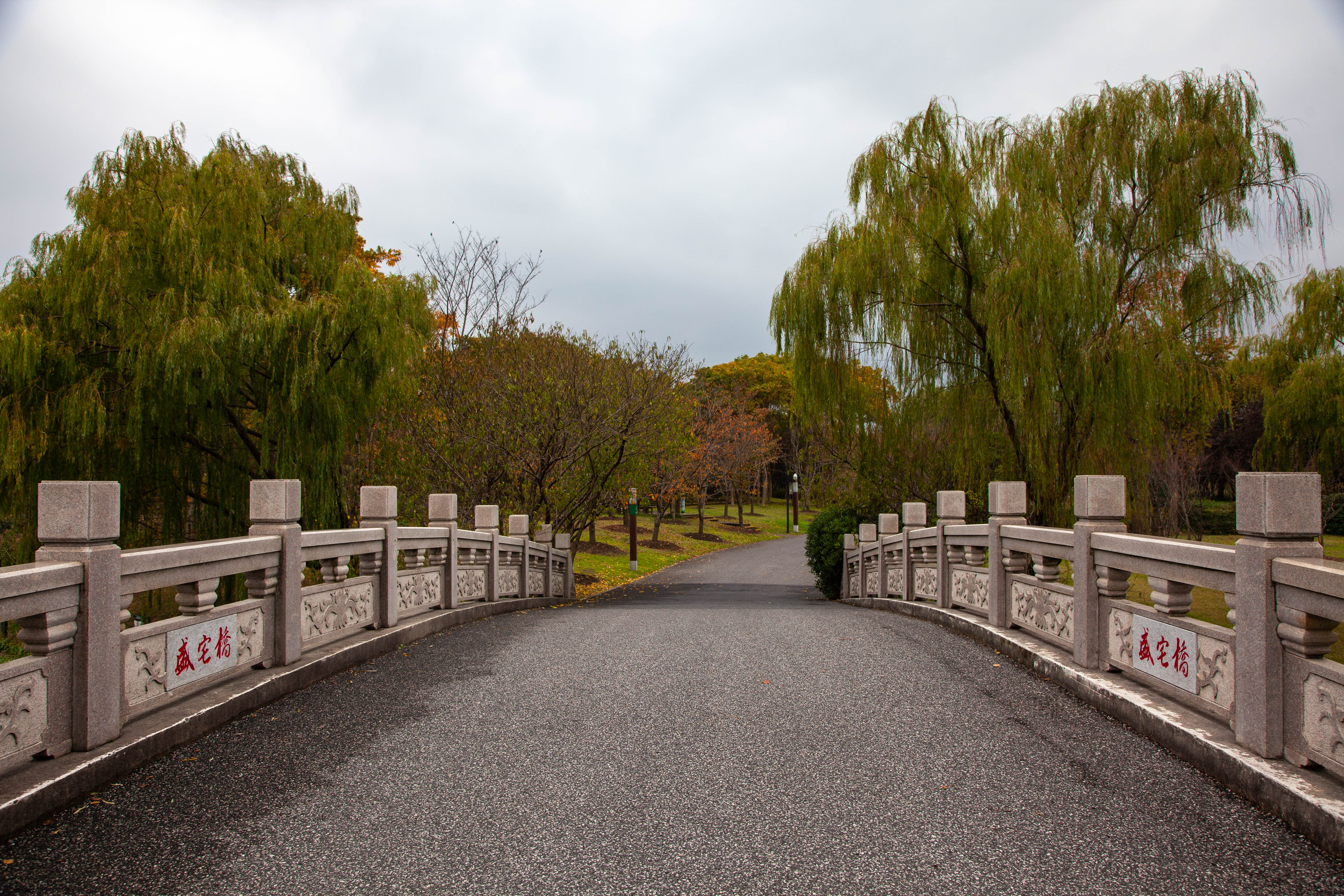宝山顾村历史,上海宝山顾村老街