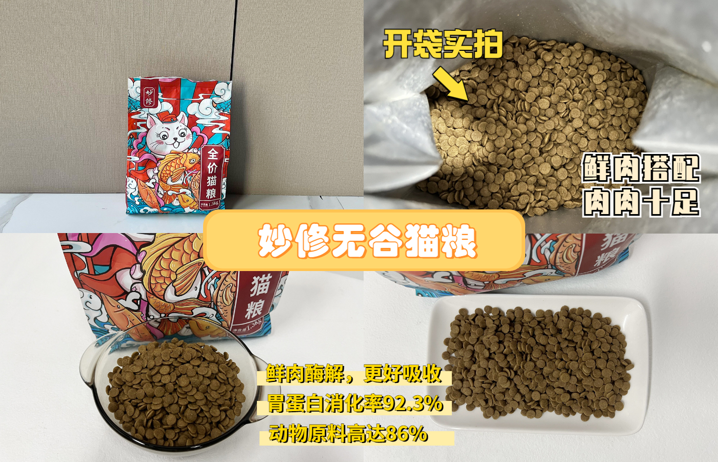 为什么说有些人千万不能养猫,哪种人不建议养猫