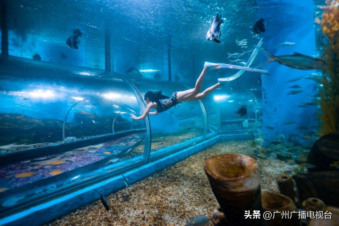 广州有哪些免费的旅游景点推荐,广州旅游优惠时间表