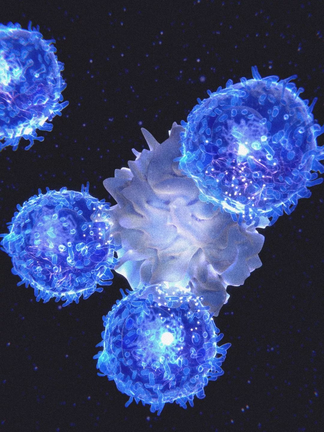 致与病毒搏斗的你！