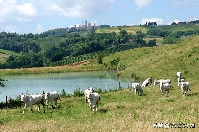 初游欧洲走进浪漫之都,欧洲游推荐自由行