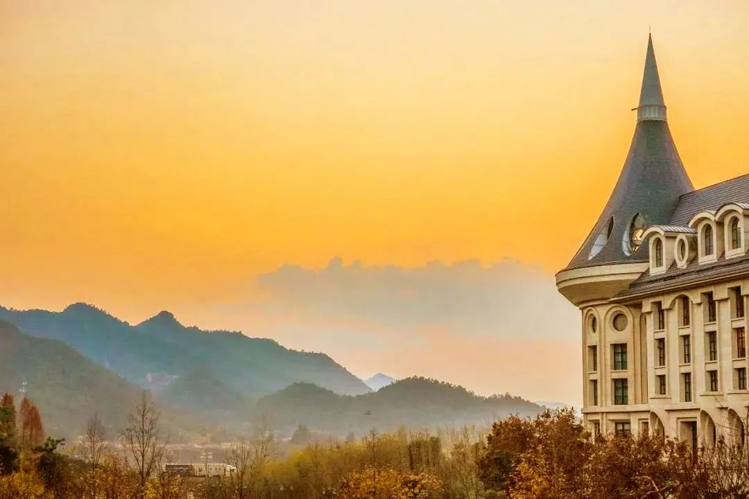 蹇呮墦鍗＄殑绁炰粰閰掑簵,瓒呮帹鑽愮殑绁炰粰閰掑簵