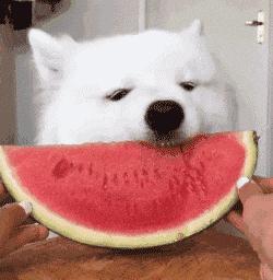 那些不经意的违法行为,那些不经意的举动