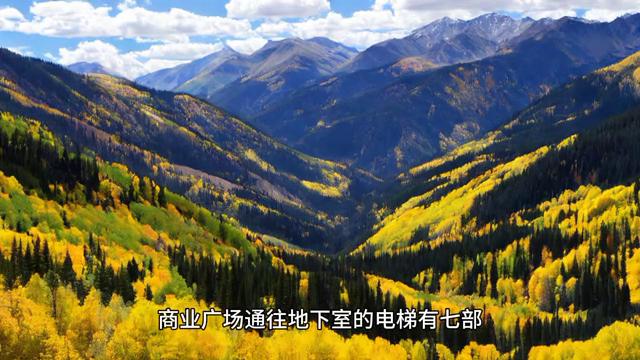 致命搜索漫画,致命搜索小说全本