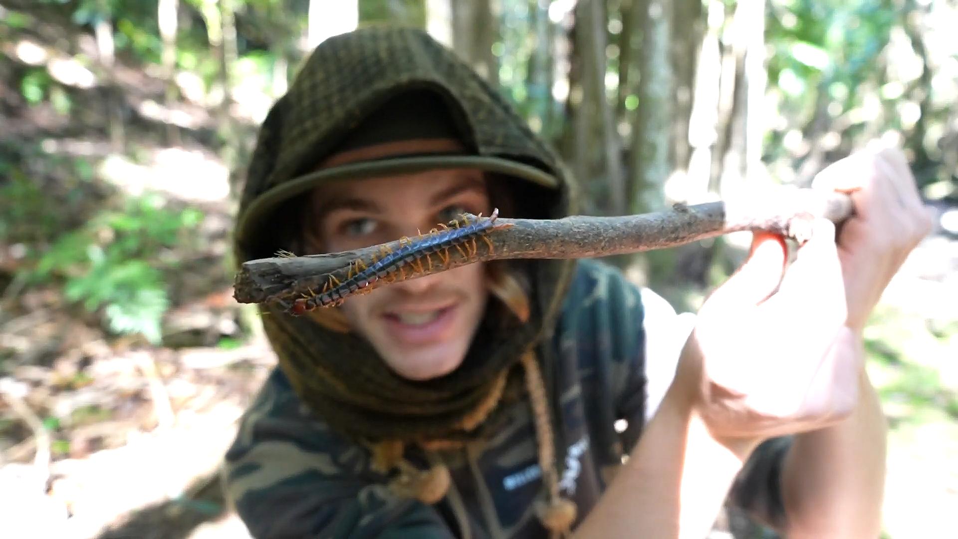 澳洲大蜈蚣有多大,澳大利亚的巨型蜈蚣