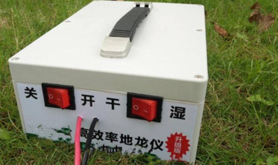 野生蚯蚓利益链从未终断？广东再现电蚯蚓，暴利下隐藏着什么危机