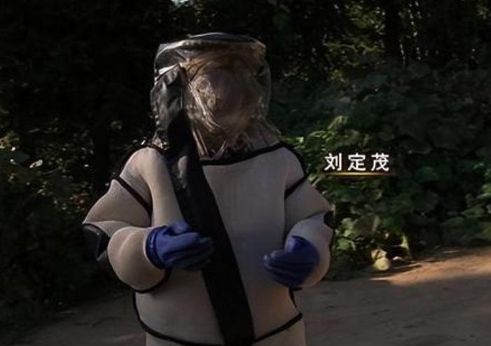 杀人蜂发家致富吗,养杀人蜂年入百万