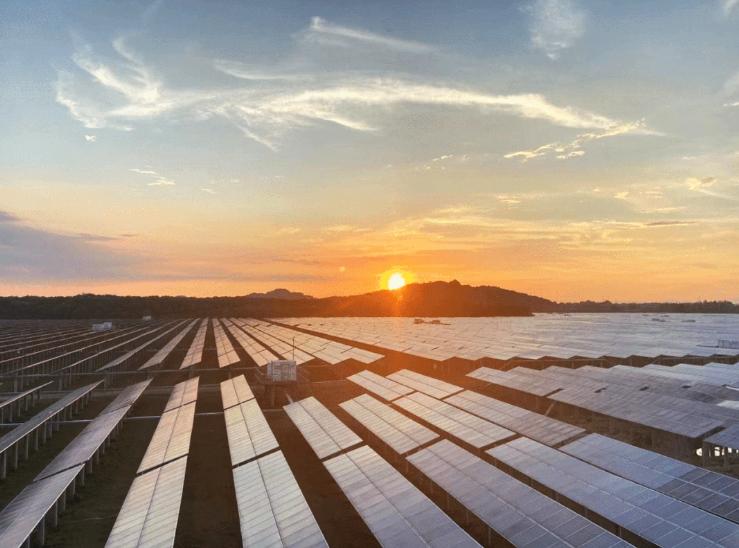 靠晒太阳就躺赚的光伏骗局,靠晒太阳躺赚上万农民被坑