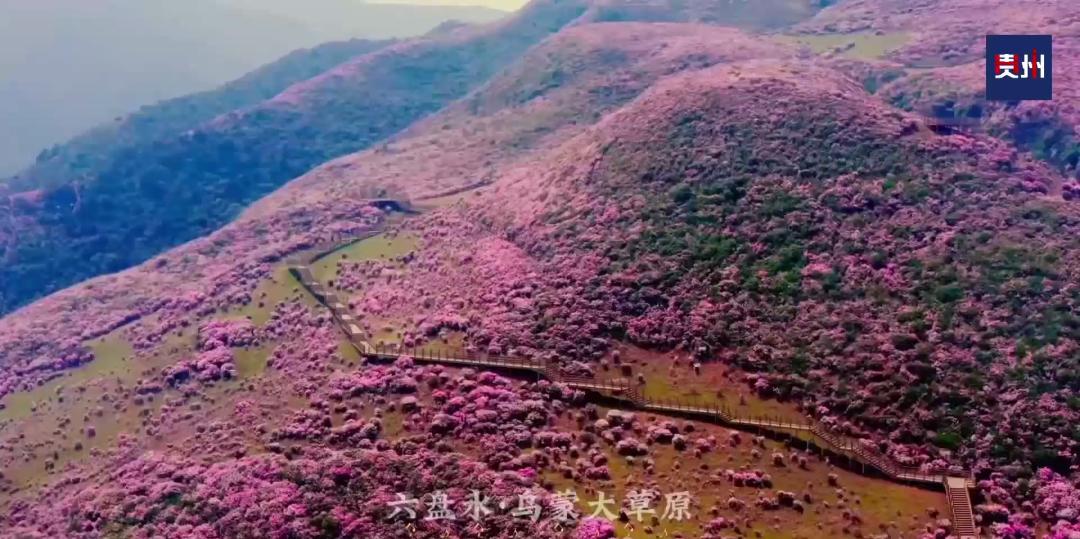 贵州最值得一去的地方,贵州最值得去的10个好地方