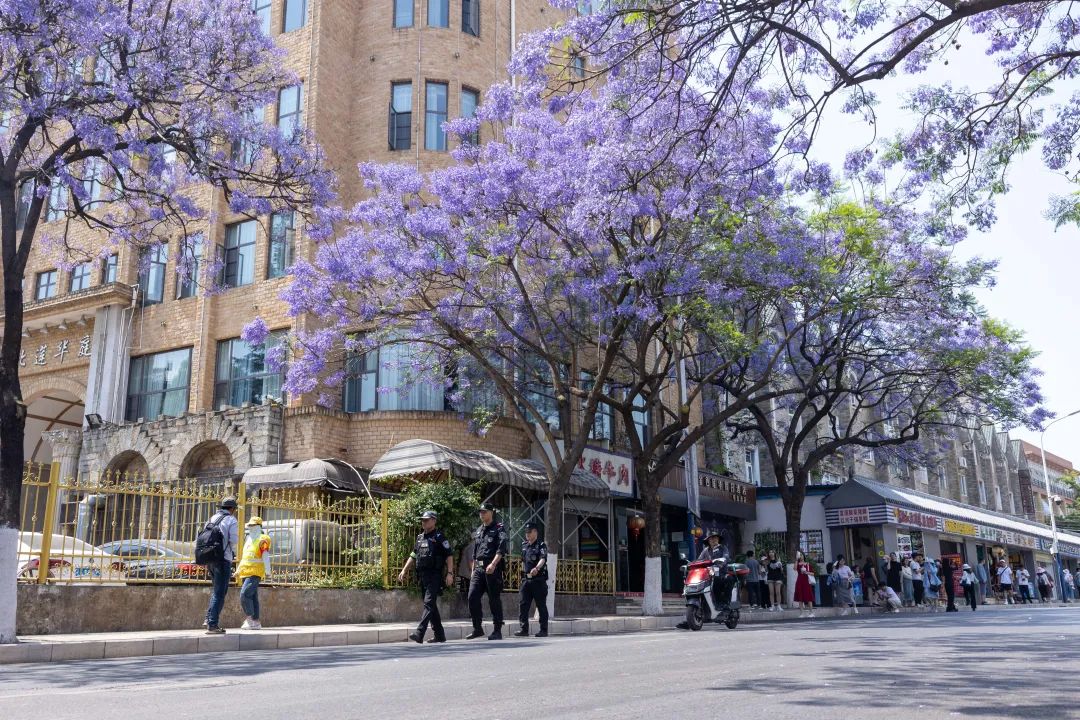 芸儿美美美美美,美美美美美美美英文