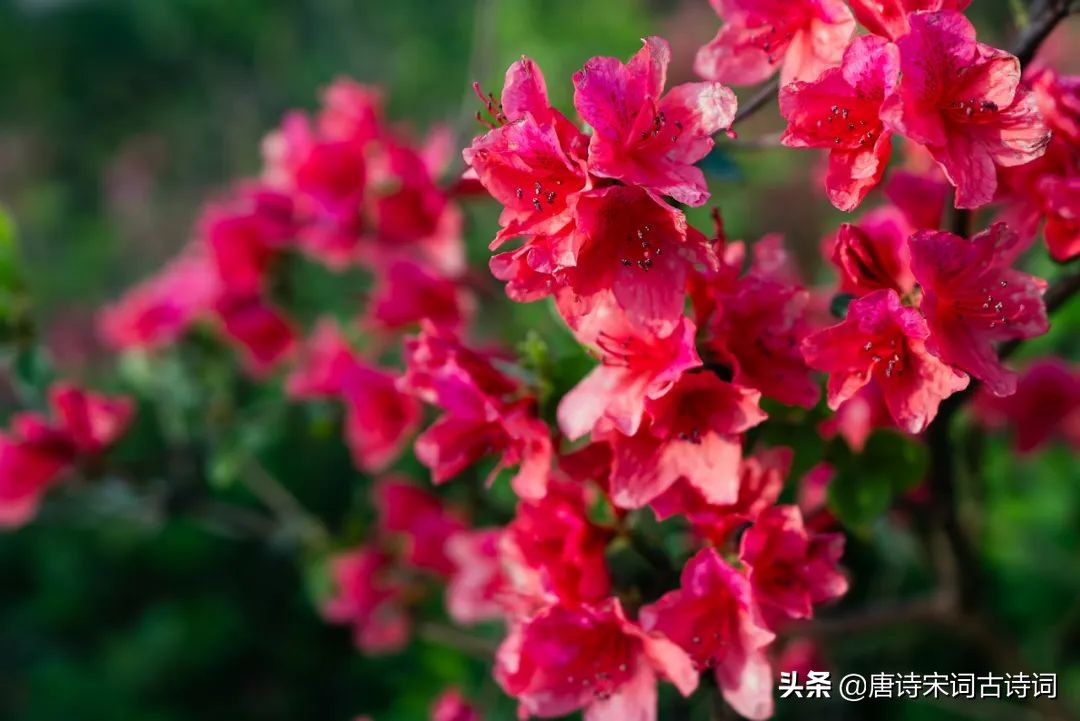 数字诗词飞花令,数字诗词一二三四五