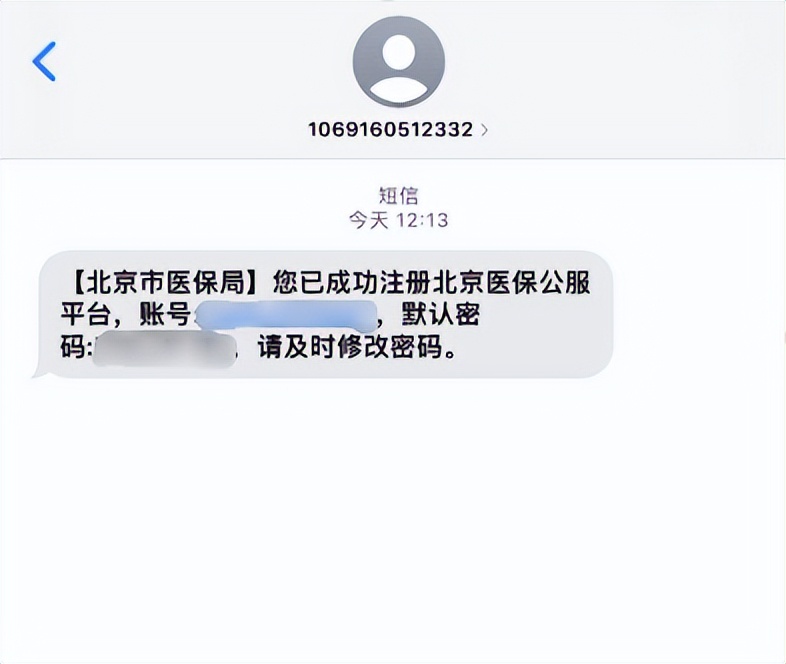 武汉养老金个人账户余额查询,查询个人账户余额明细