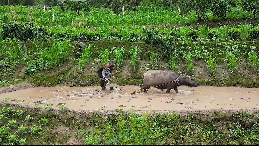 专家：农业就是暴利行业！大爷听后立马给专家上了一课