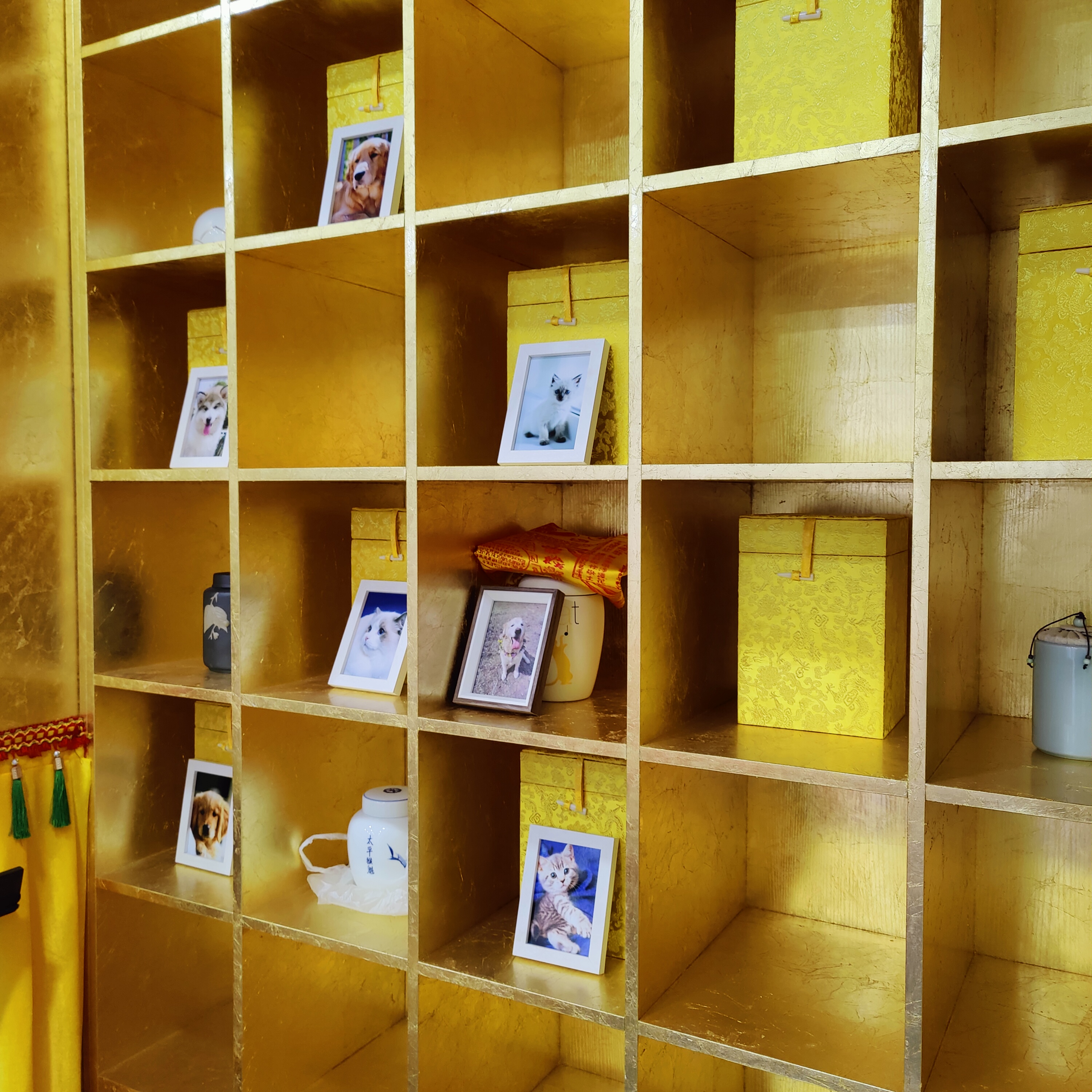 我为什么会选择宠物殡葬行业,宠物殡葬行业真实现状