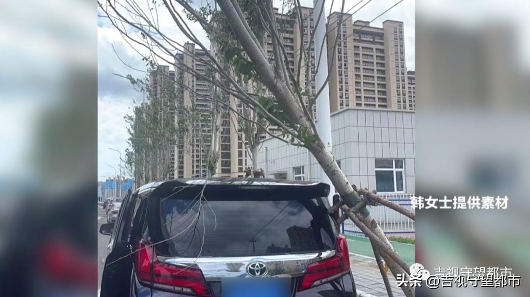 车停在小区被树砸了谁负责,车停路边被树砸伤谁负责