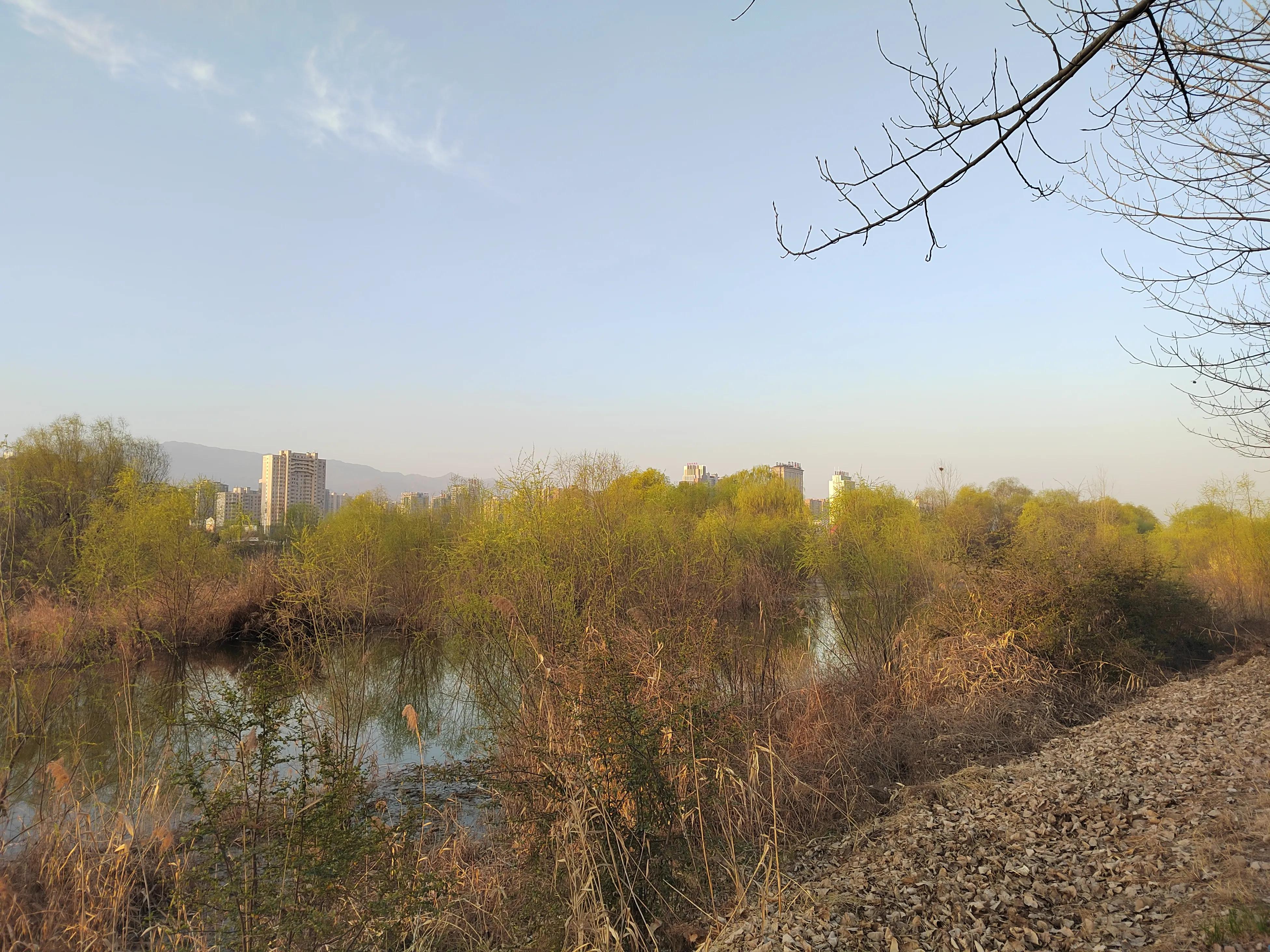 春天来了，美景再现，该踏青和锻炼身体了，为足球比赛储备体力。