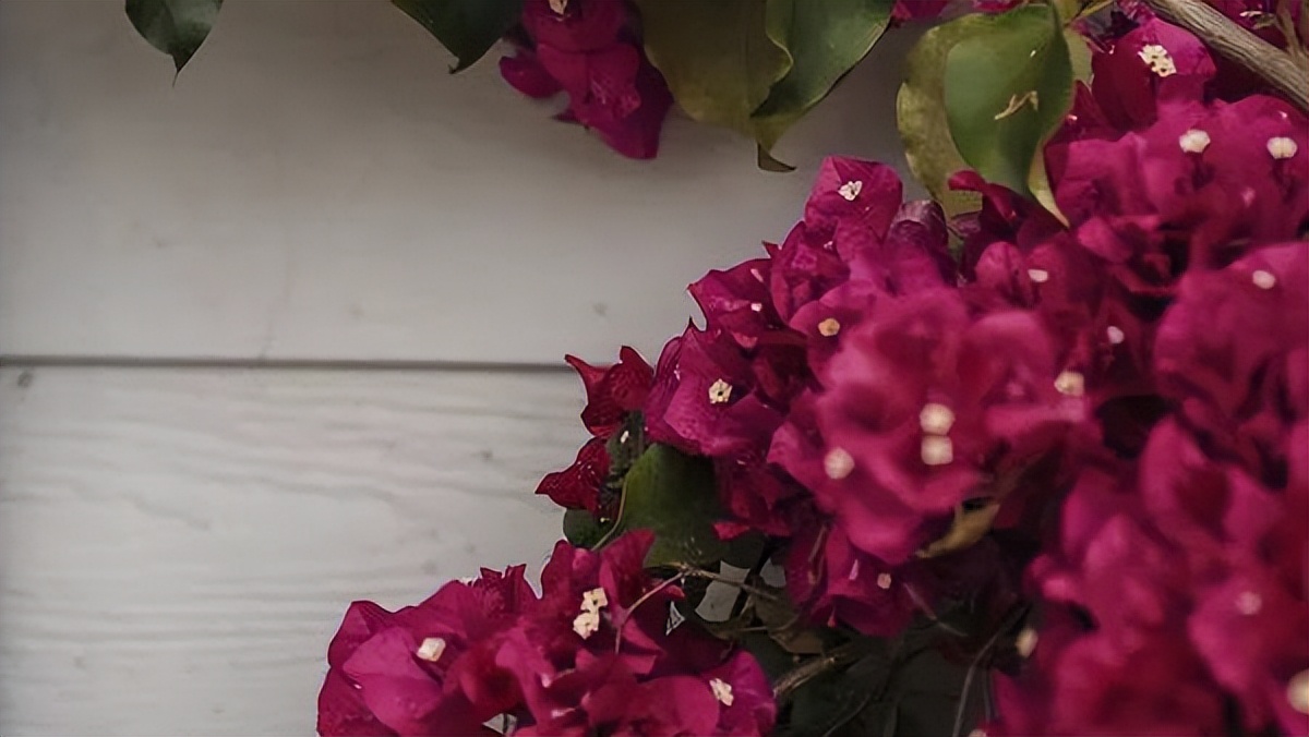 当别人不回你消息时你该怎么办,当别人不回你信息时应该怎么办