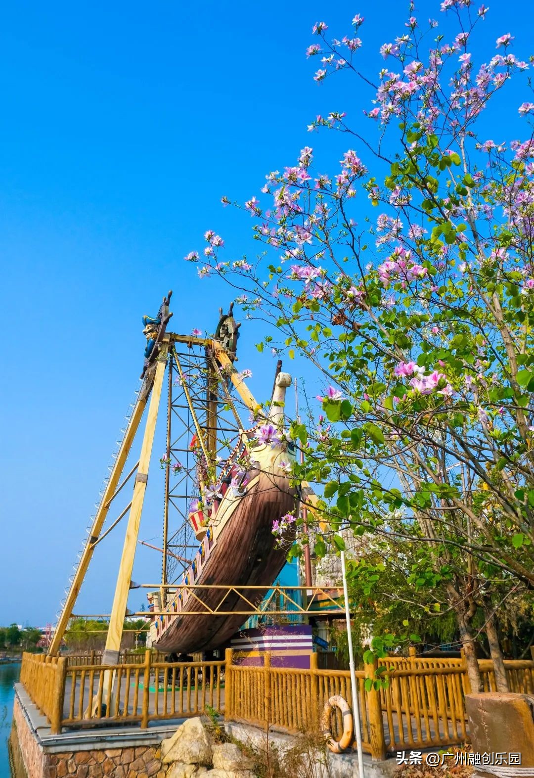 你喜欢的颜色是什么的英文,你喜欢的颜色暴露出你的性格