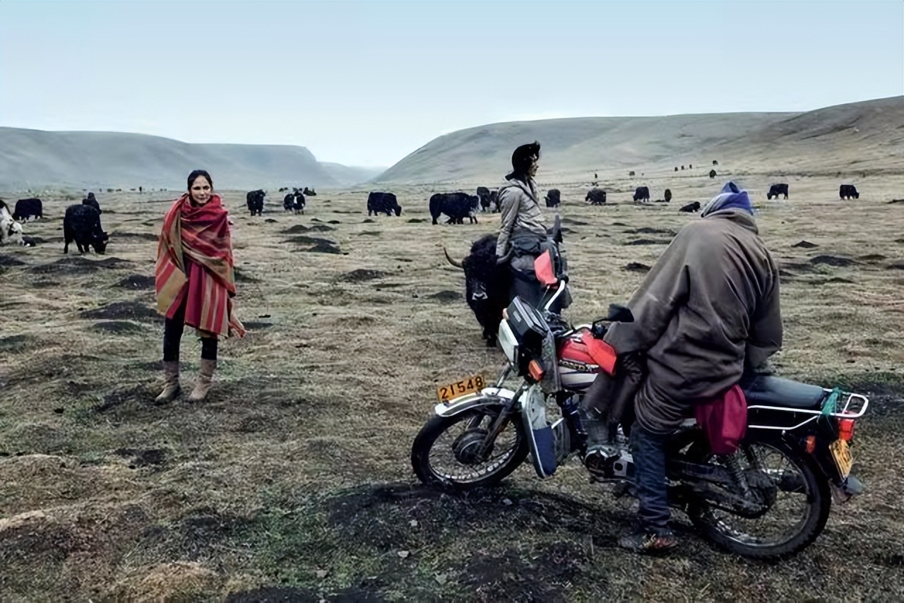 美国女孩回中国爸爸故乡：牦牛绒围巾卖欧洲，带草原牧民赚欧元
