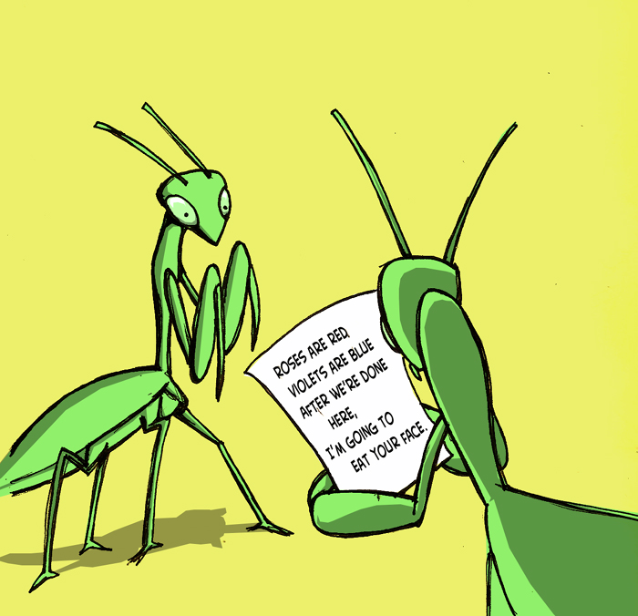 为了交配繁衍，雄性动物有多拼？猫生殖器带刺，鸭子改造成螺旋状