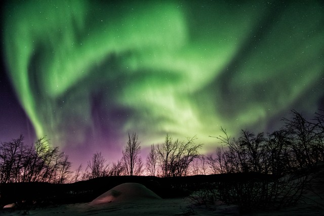 天空的奇迹这本书的作者,天空的奇迹
