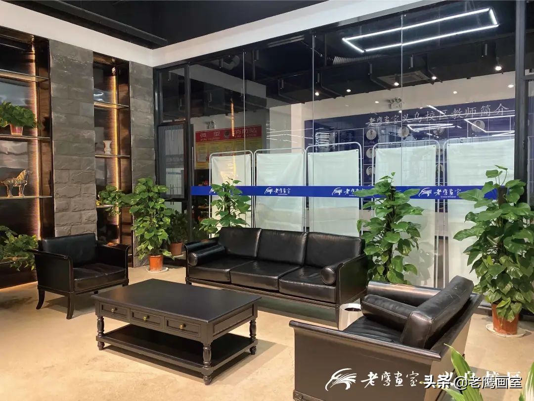 老鹰画室精品班和进阶班,成都老鹰画室和成都艺考画室