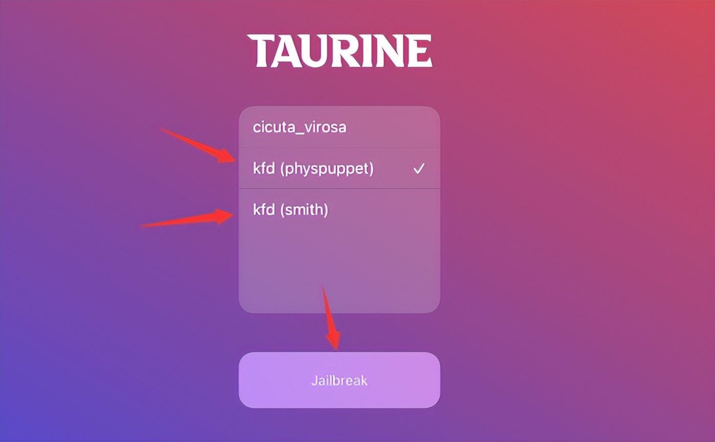 ios15.3越狱教学最新,ios17.01越狱最新消息