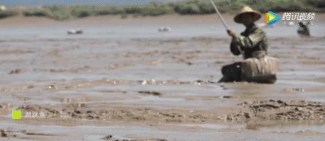 东海最后一处冷门小县城，藏了个海上仙子国，一口小海鲜封神