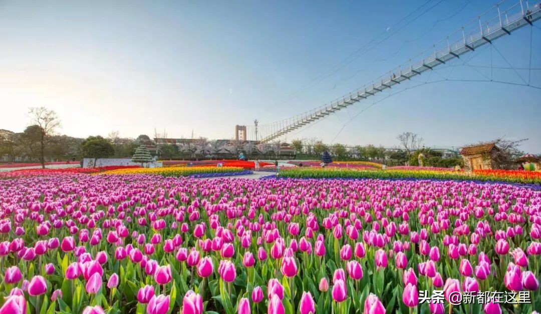 户外音乐啤酒季成都北湖,新都流行音乐季