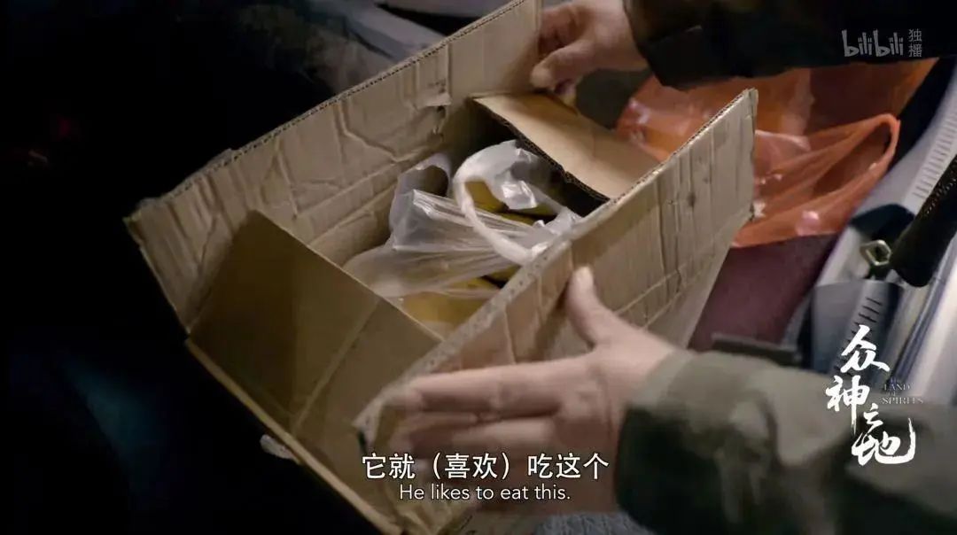 百万粉丝女网红“吃播”后被封杀,网友怒了:别让孩子毁于无知