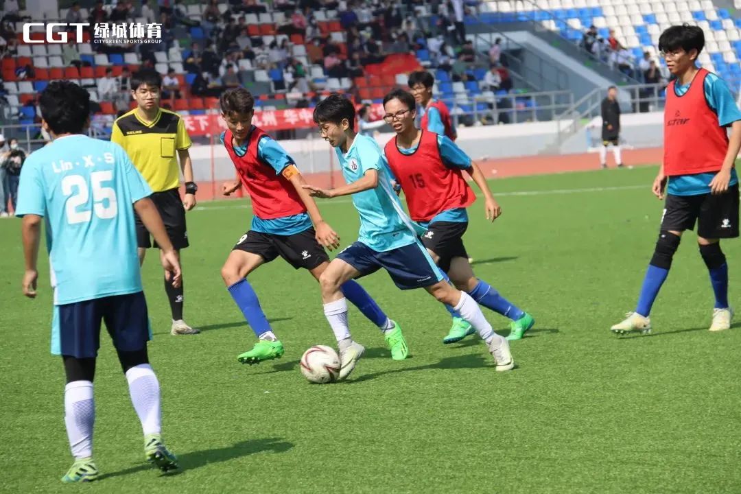 fifa认证足球场是真草吗,fifa认证足球